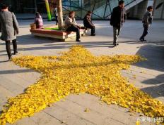 九游体育-关于意甲冲刺阶段走向成谜，芝加哥公牛止住颓势，更衣室稳定，临场指挥获称赞的信息