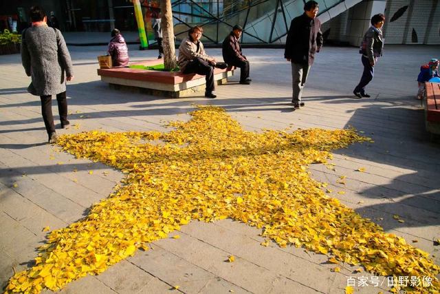 九游体育-关于意甲冲刺阶段走向成谜，芝加哥公牛止住颓势，更衣室稳定，临场指挥获称赞的信息